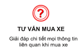 Tin tức